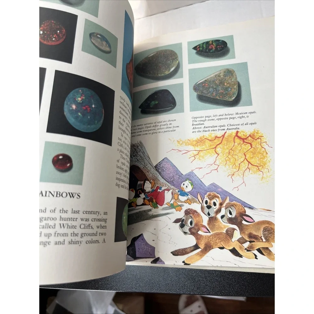 VINTAGE Disney's Wonderful World of Knowledge, Vol 8 – Treasures of the Earth